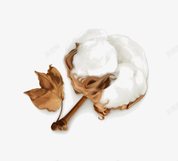 棉花图标png_新图网 https://ixintu.com 卡通棉花 纯棉标志 织物图标