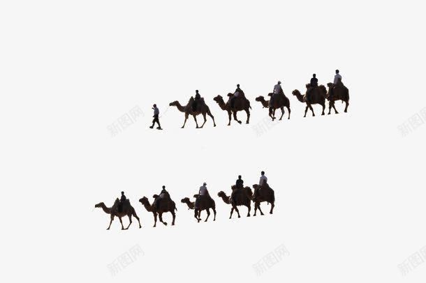 骑骆驼的队伍png免抠素材_新图网 https://ixintu.com 动物 卡通手绘 沙漠动物 驼峰 骆驼
