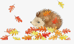 秋天刺猬手绘风秋天的刺猬高清图片