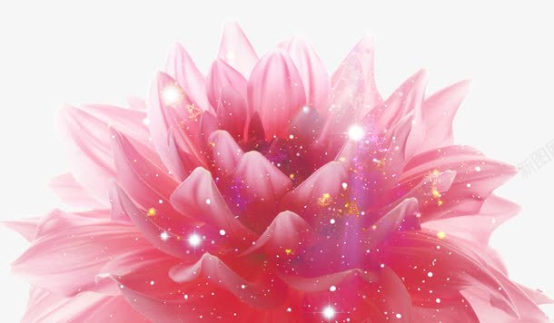卡通植物粉色花朵星点效果png免抠素材_新图网 https://ixintu.com 卡通 效果 星点 植物 粉色 花朵
