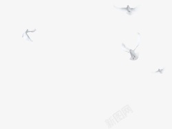 菲凡飞翔的鸽子高清图片