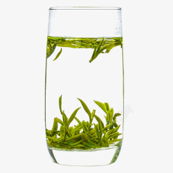 冲泡茶水茶杯茶水玻璃杯茶水翠绿嫩叶高清图片
