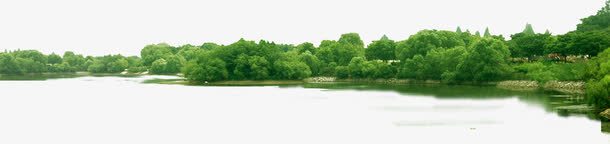 室外摄影场景绿色的森林png免抠素材_新图网 https://ixintu.com 场景 室外 摄影 森林 绿色