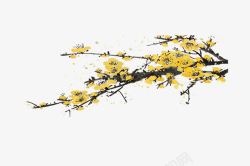 梅花素材