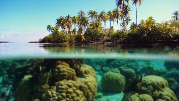 蓝天白云椰林海水珊瑚背景