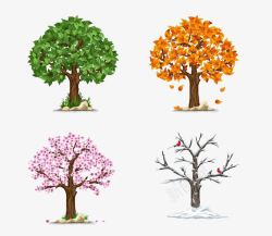 一棵树在四季的不同样子素材