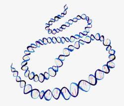 双链长条的DNA高清图片