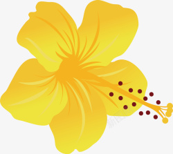 黄色花蕾还是个花瓣矢量图高清图片