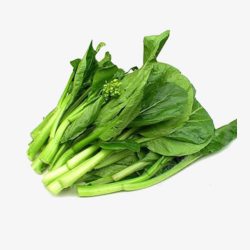 白菜苔白菜苔高清图片