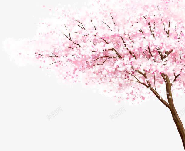 粉色樱花树png免抠素材_新图网 https://ixintu.com 大树 樱花 水彩 粉色