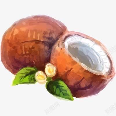 椰子png免抠素材_新图网 https://ixintu.com 手绘水果热带水果椰子