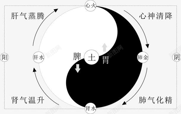 人体八卦矢量图ai免抠素材_新图网 https://ixintu.com 人体八卦 八卦图 太极图 形状 矢量图 矢量素材