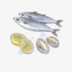 海味小食品三文鱼与鲍鱼海鲜餐高清图片