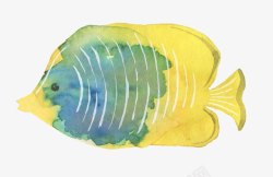黄色设计图库热带鱼高清图片