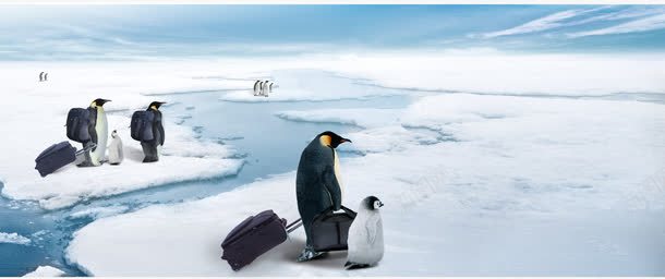 南极企鹅搬家png免抠素材_新图网 https://ixintu.com 企鹅搬家 分层源文件 南极企鹅搬家 南极企鹅搬家有源文件 水面结冰