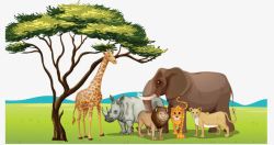非洲草原鹿犀牛大象草原景色素材