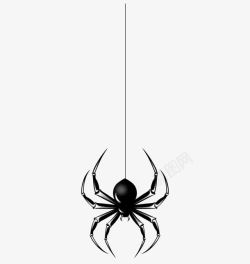 蜘蛛动物黑色蜘蛛吐丝高清图片