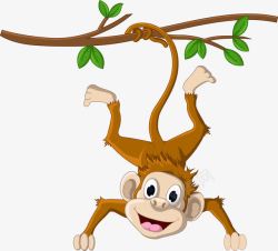 挂在树上的猴子素材