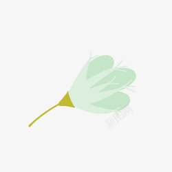 木兰花朵矢量图素材