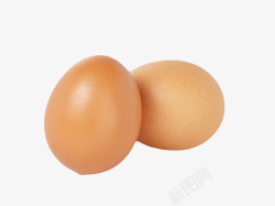 聪明鸡蛋褐色鸡蛋两个初生蛋实物素材