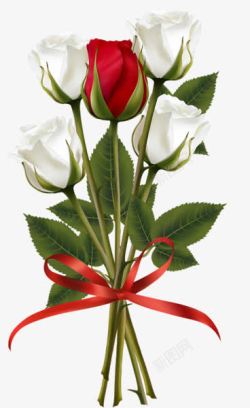 红白玫瑰一束花素材