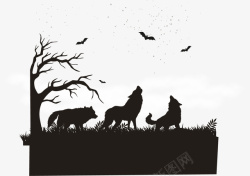 动物皮毛背景黑夜中咆哮的狼群高清图片