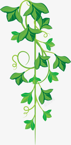 绿色豆茎浅绿色卡通风格藤蔓矢量图高清图片