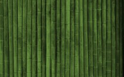 绿色竹子宽屏背景素材