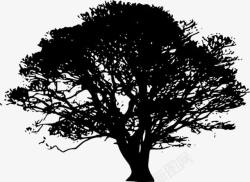 树轮廓树的剪影高清图片