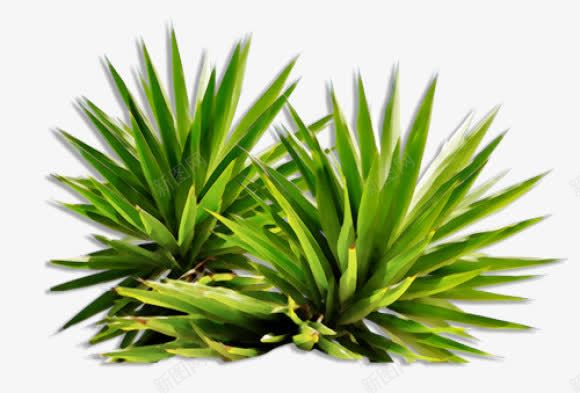 植物png免抠素材_新图网 https://ixintu.com 树丛 植物 绿色 自然