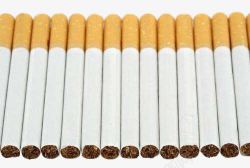 烟草制品成排烟卷高清图片