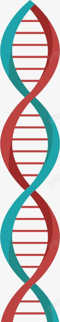 DNApng免抠素材_新图网 https://ixintu.com DNA 旋转 生物研究