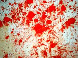 墨汁花纹红色喷洒污渍背景高清图片