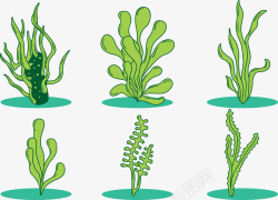 绿色海草植物合集矢量图素材
