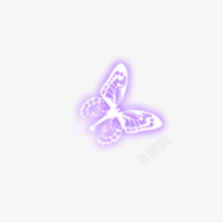 发光的蝴蝶蝴蝶高清图片