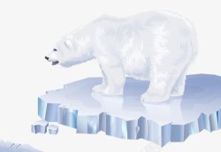 海面上的冰块冰块上的北极熊高清图片