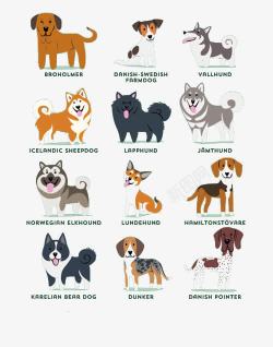 狗品种扁平化宠物图标高清图片