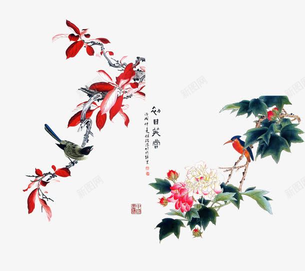 花开芙蓉图png免抠素材_新图网 https://ixintu.com png图片 免抠图 芙蓉花 花鸟画