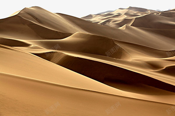 一片金色沙png免抠素材_新图网 https://ixintu.com 一片 沙子 沙滩 沙漠 砂砾 金色 金色沙 飞沙走石