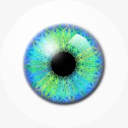 人体绿色蓝绿色瞳孔眼睛高清图片