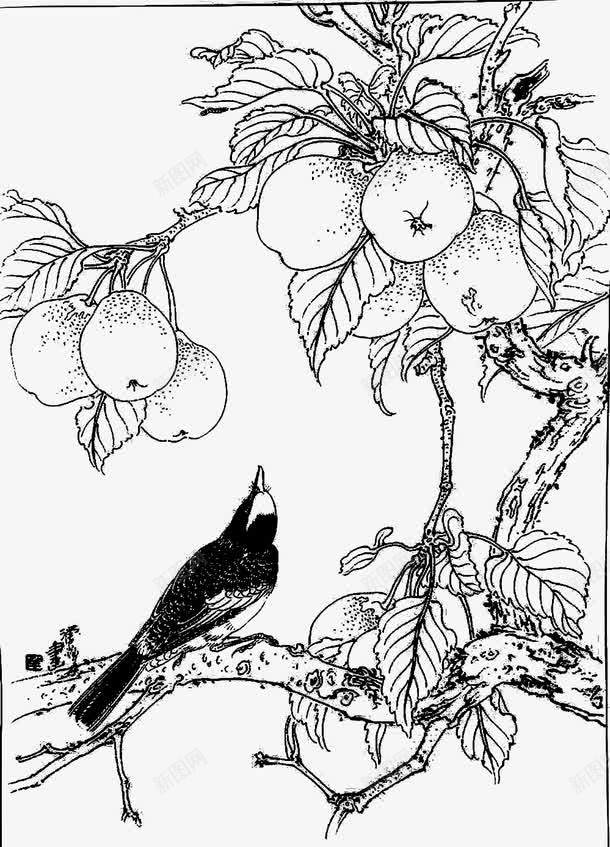 梨树与乌鸦png免抠素材_新图网 https://ixintu.com 乌鸦飞过 小鸟 手绘 果实 梨树 植物 黑白