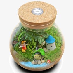办公实木创意苔藓微景观生态瓶高清图片