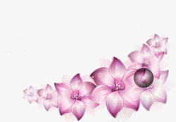 春暖花开唯美紫色花朵素材