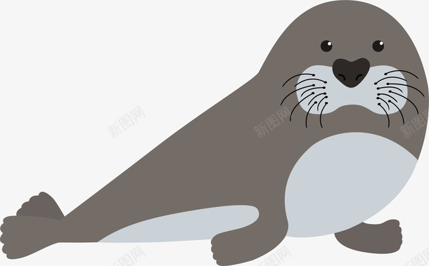 灰色海豹png免抠素材_新图网 https://ixintu.com 可爱 尾巴 手绘 海洋生物 海豹 胡须 鱼鳍