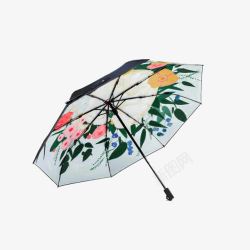 防晒防紫外线小黑伞晴雨伞太阳伞小黑伞高清图片