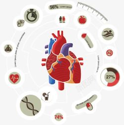 心脏图心脏数据高清图片