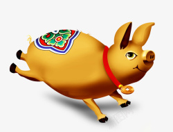巴马香猪2019金猪赛跑高清图片