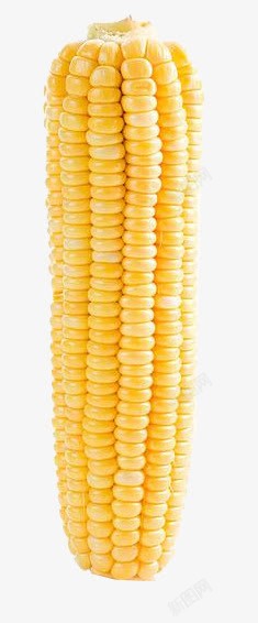 玉米粗粮倒立的玉米高清图片