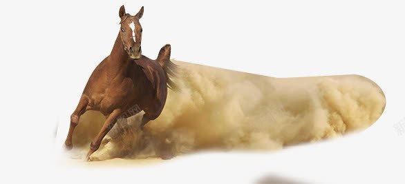 一只马在奔跑png免抠素材_新图网 https://ixintu.com 一只马 奔跑 棕色 沙尘 沙漠