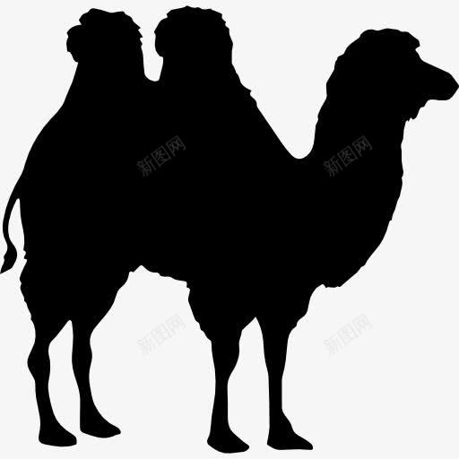 骆驼形状图标png_新图网 https://ixintu.com 动物 动物王国 动物的轮廓 双峰驼 形状 轮廓 骆驼